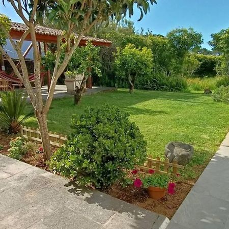 Casa Azores Zen Рибейра-Гранди Экстерьер фото