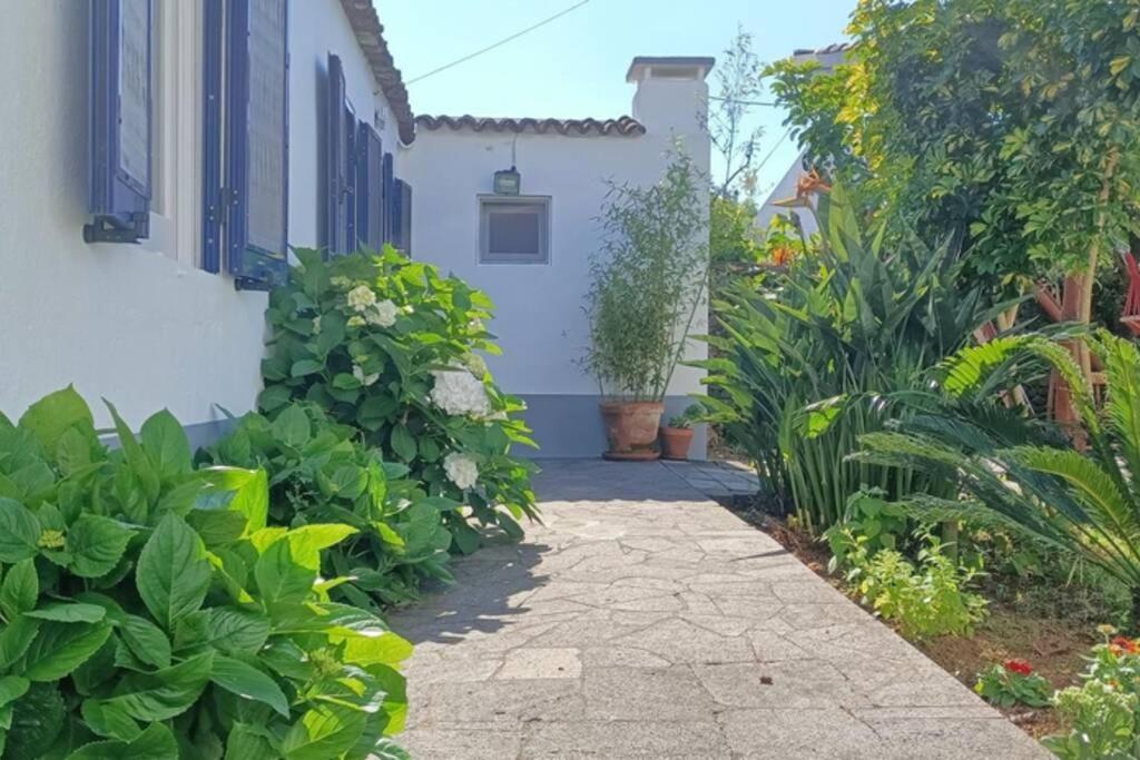 Casa Azores Zen Рибейра-Гранди Экстерьер фото