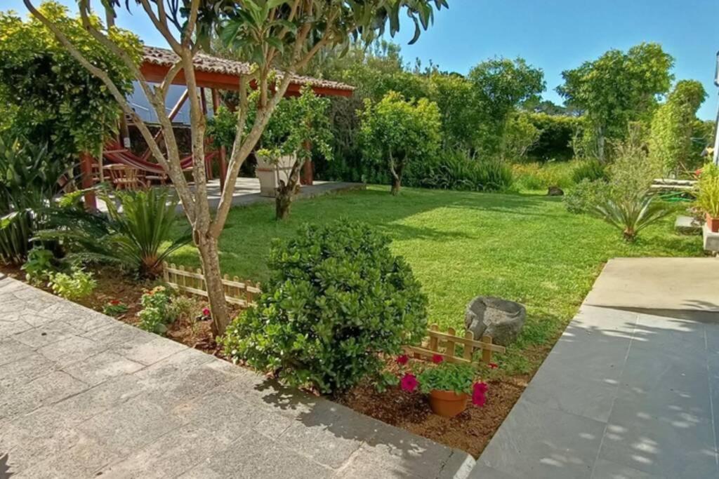Casa Azores Zen Рибейра-Гранди Экстерьер фото